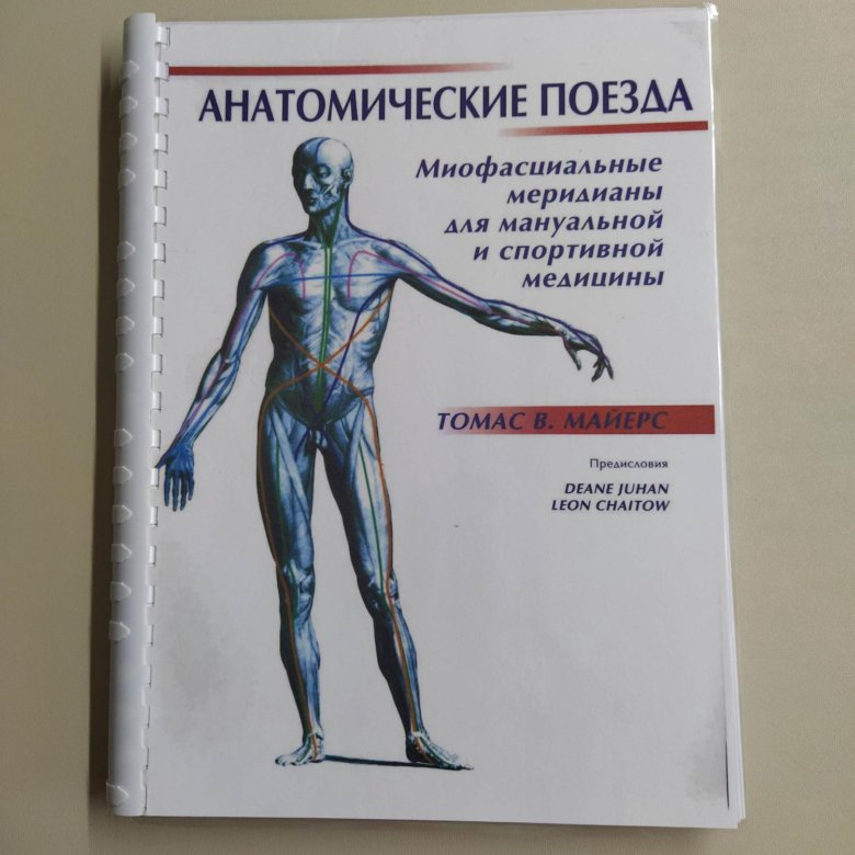 Книга томаса майерса анатомические поезда. Анатомия поезда Томаса Майерса. Анатомические поезда книга.