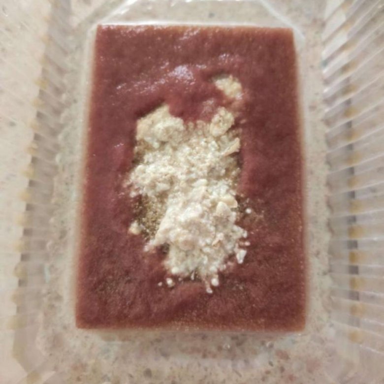 Аулофорус – купить в Москве, цена 500 руб., дата размещения: 15.02.2024 ...