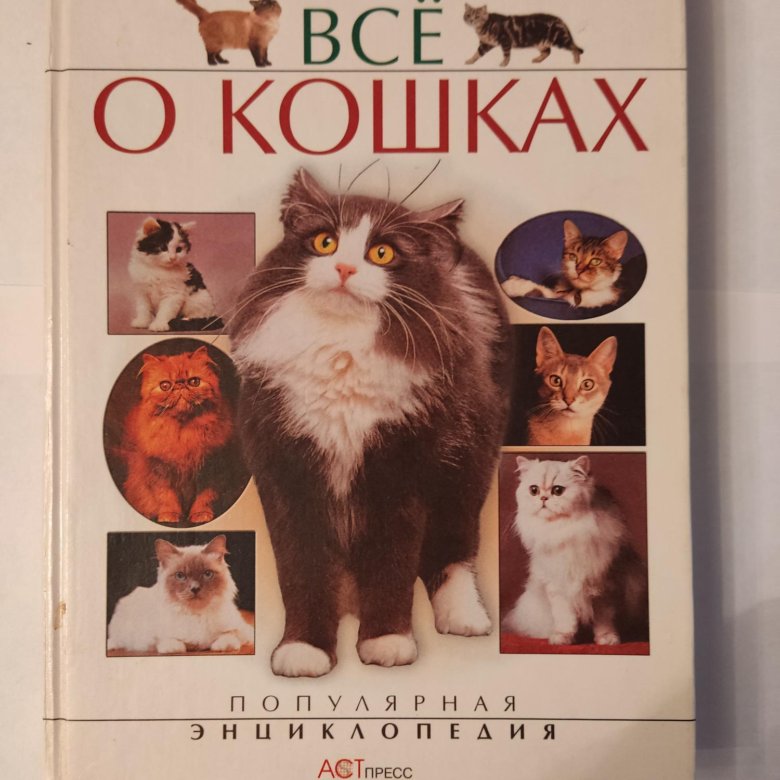 Энциклопедия кошек картинки