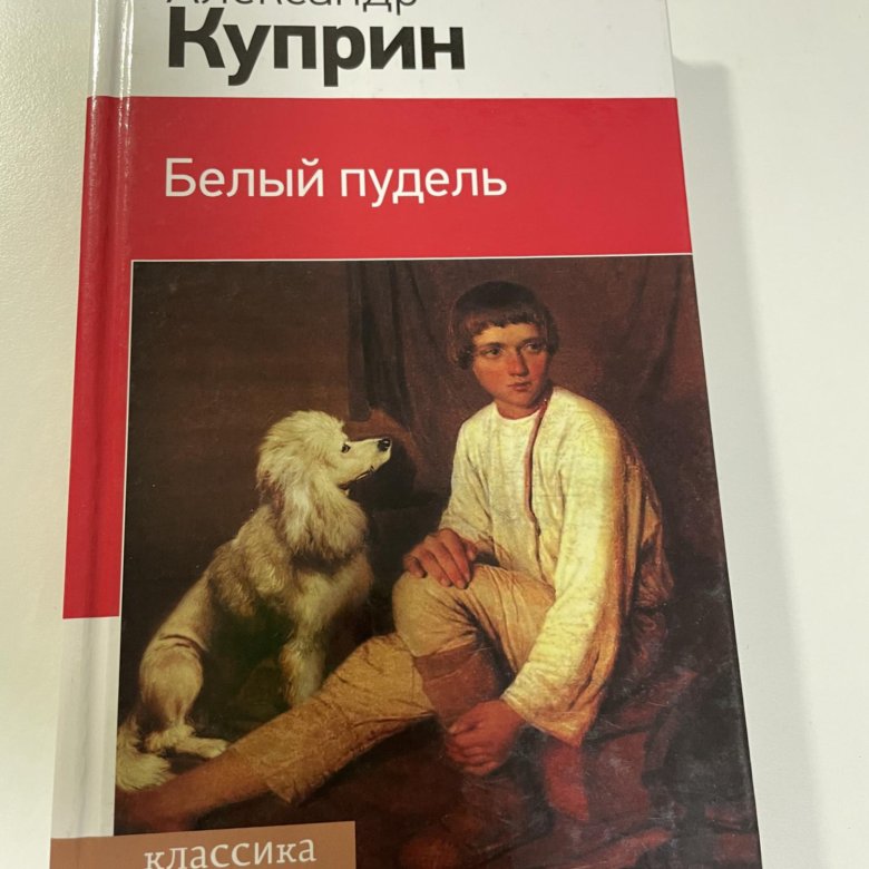 Белый пудель анализ. Белый пудель книга. Белый пудель и каштанка. Белый пудель читать.