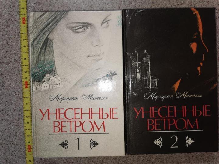 Унесенные ветры 2 том читать