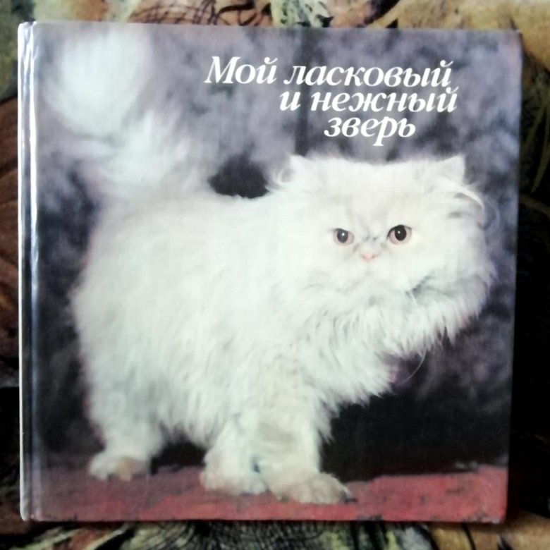 Книга мой ласковый. Мой нежный мачо читать. Хантер э. Мой ласковый и нежный зверь книга. Мой ласковый и нежный зверь картинки.
