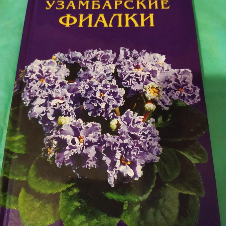 Читать книгу фиалка