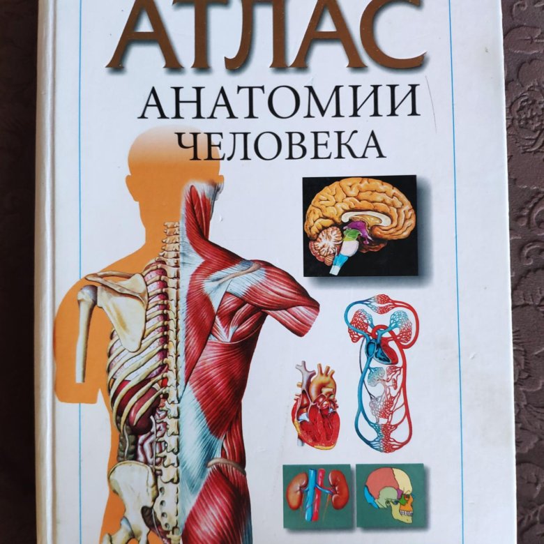 Атлас по анатомии. Медицинский атлас. Атлас анатомии человека Воробьев в п. Атлас анатомии человека Колесников. Атлас по анатомии человека Колесников.