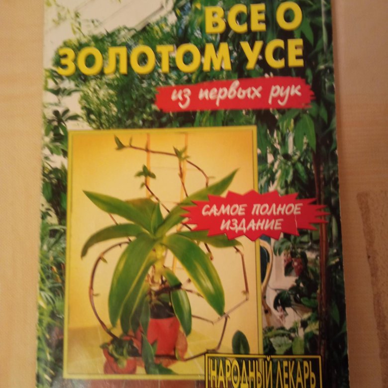 Все о золотом усе