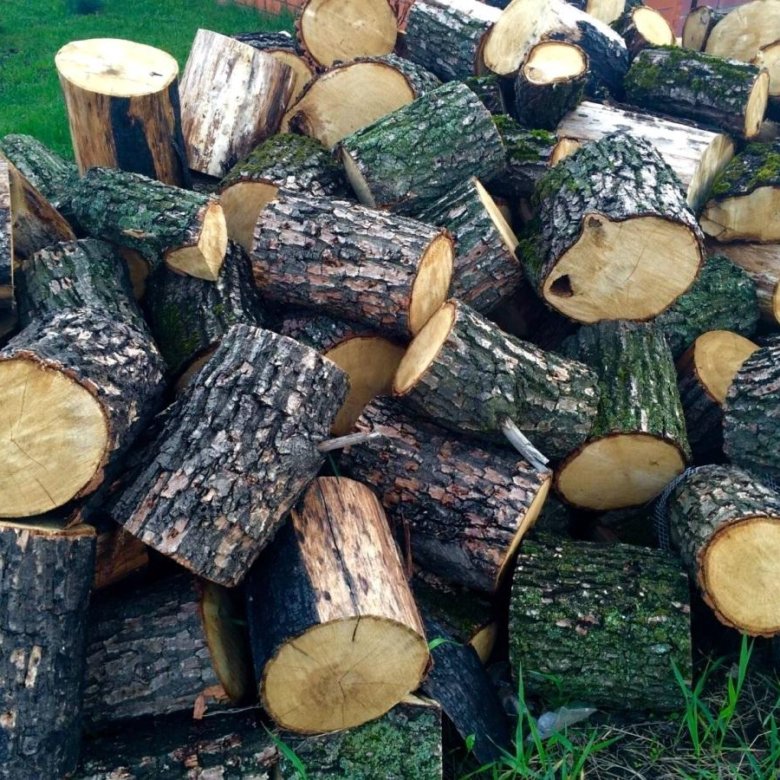 Купить семена дрова. Дрова. Полено дрова. Березовые дрова. Дрова дуб.