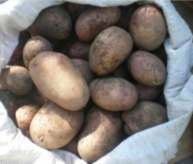 Картинка продам картофель