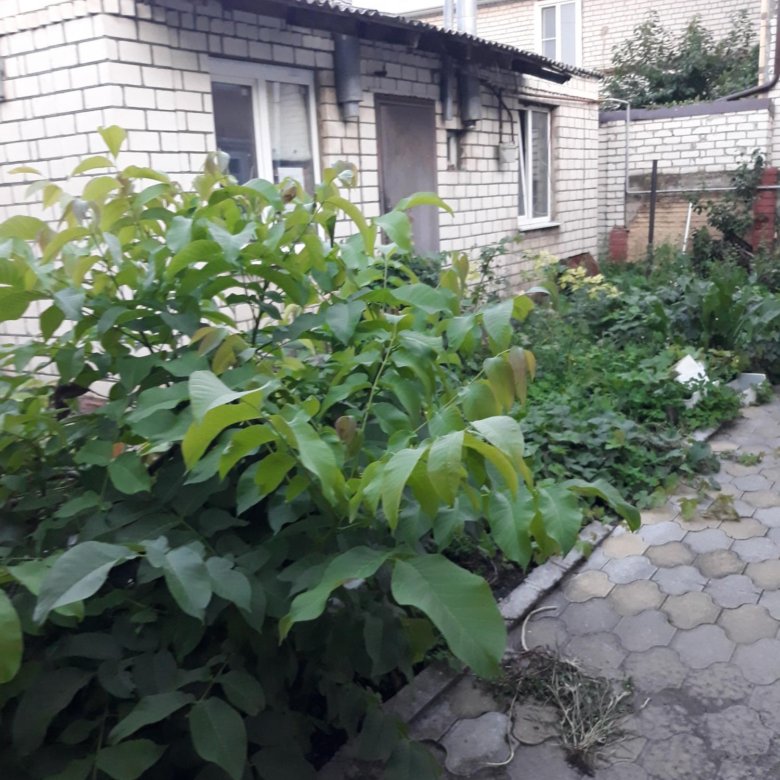 Дом, 53 м² – купить в Ставрополе, цена 2 700 000 руб., дата размещения ...