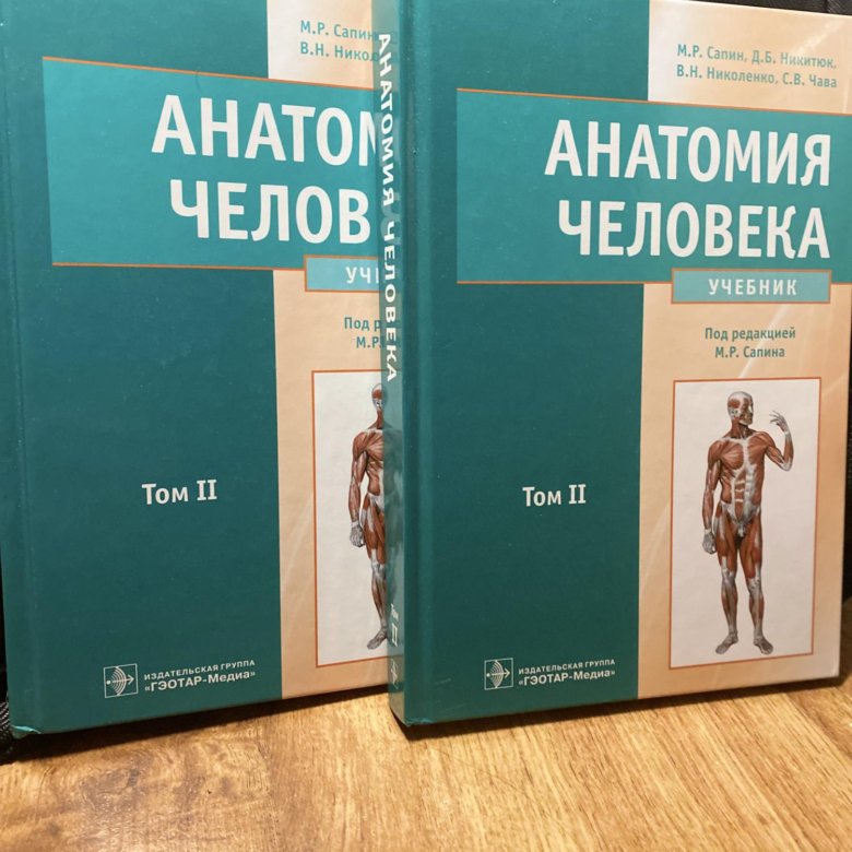 Сапин анатомия 2 том читать. Анатомия человека Сапин 1,2 том. Сапин анатомия учебник 2 том. Учебник по анатомии человека Сапин. Сапин анатомия.