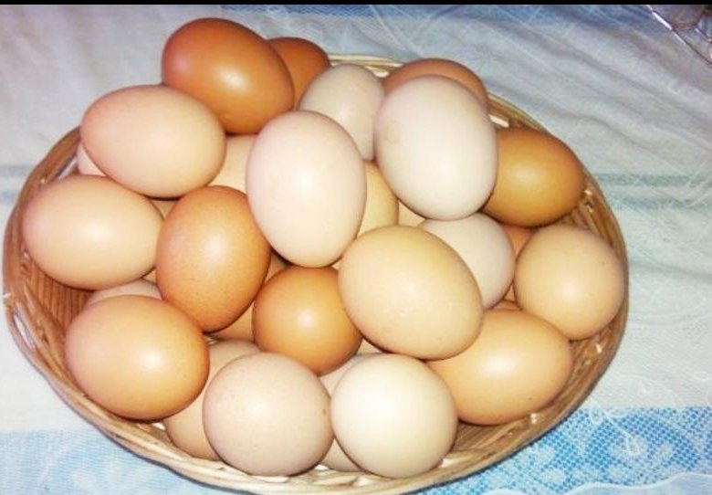 Яйца пушкинской породы. Домашние куриные яйца. Яйца домашние фото куриные. Пушкинские яйца. Деревенские яйца желток.