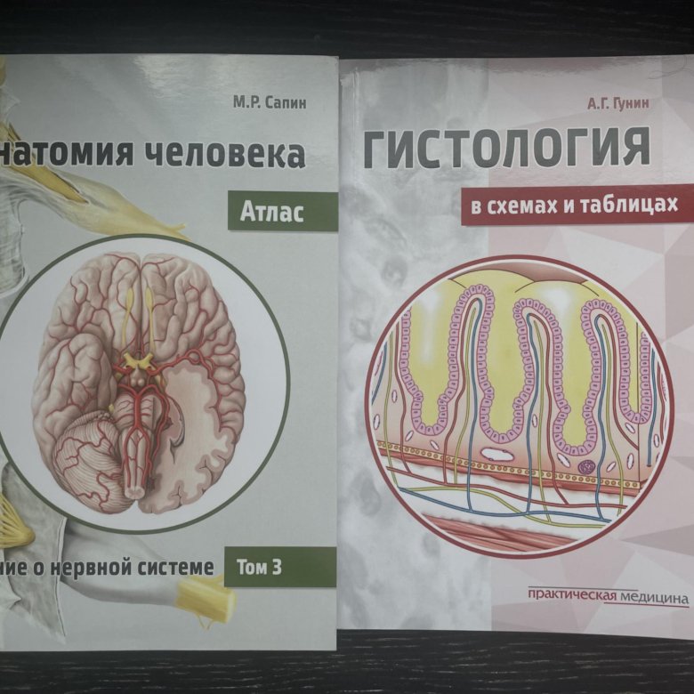 Учебник по гистологии/анатомии – купить в Москве, цена 370 руб., дата ...