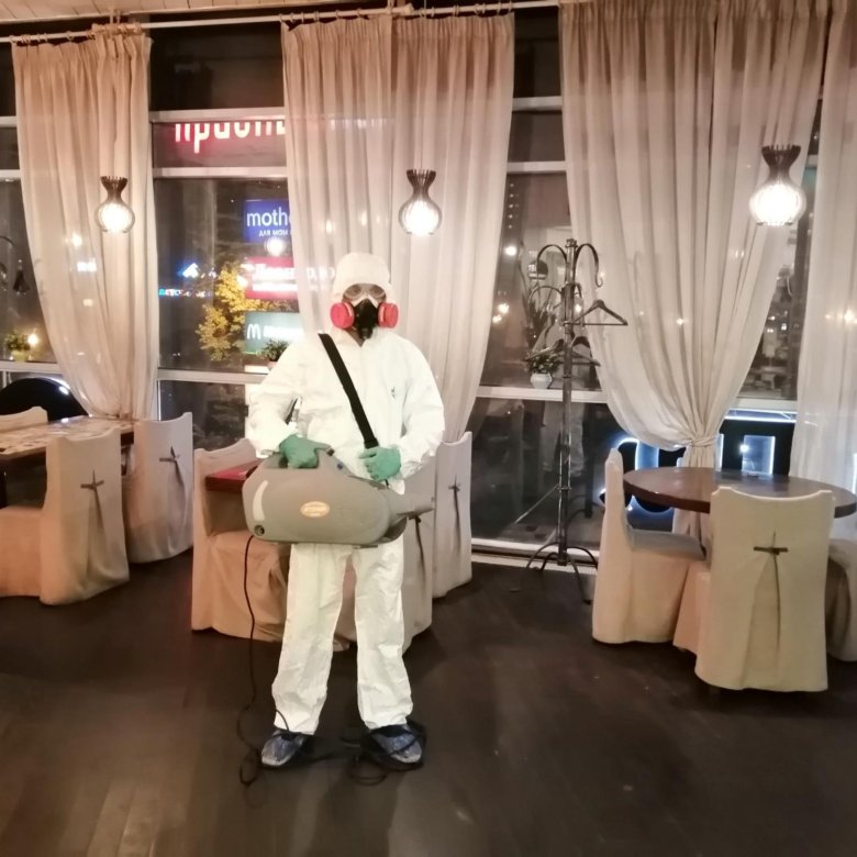 Уничтожение Клопов Тараканов Клещей Кротов Мышей – купить в Москве ...