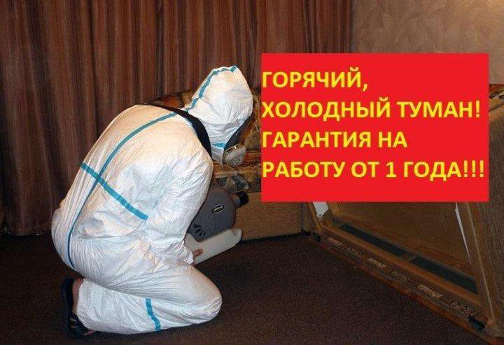 Обработка От Тараканов Цена