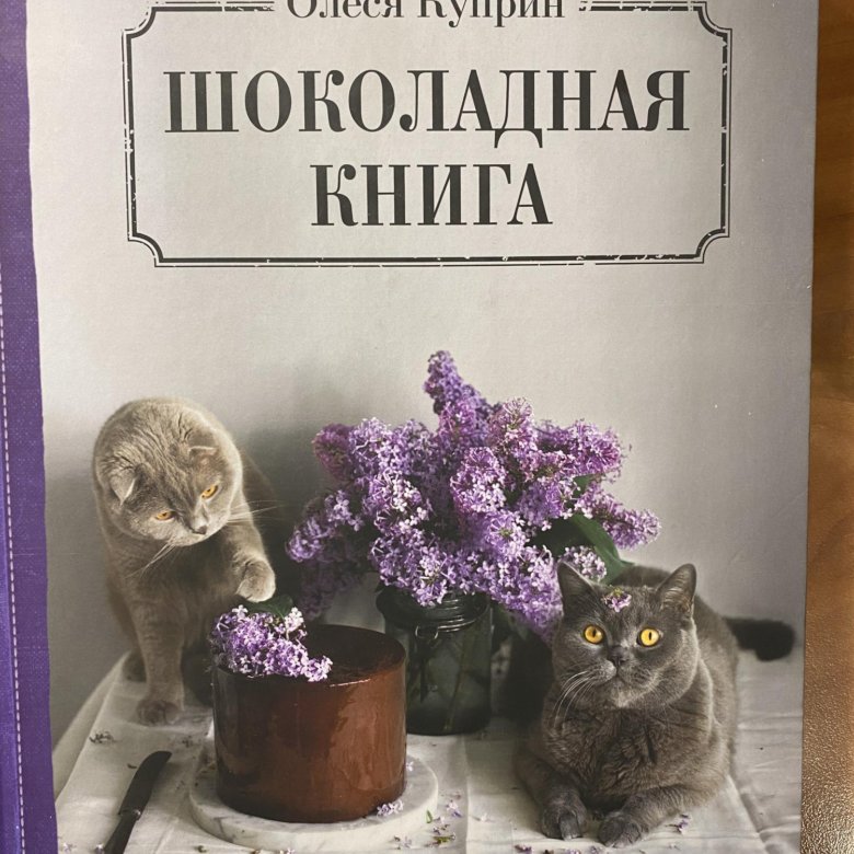 Шоколадная книга. Олеся Куприн колбаса сладкая.