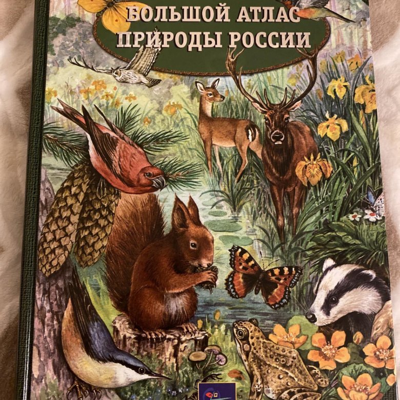 Атлас природы. Большой атлас природы России. Большой атлас природы России Ридерз дайджест. Большая детская иллюстрированная энциклопедия Эгмонт читать онлайн.