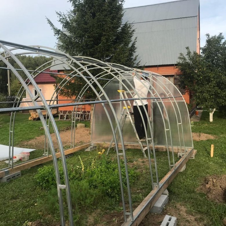 Теплицы из поликарбоната двойные дуги – купить в Павловском Посаде ...