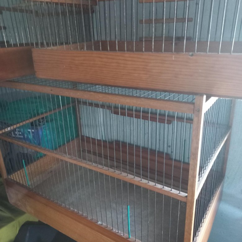 Клетки для птиц – купить в Иркутске, цена 1 500 руб., дата размещения ...
