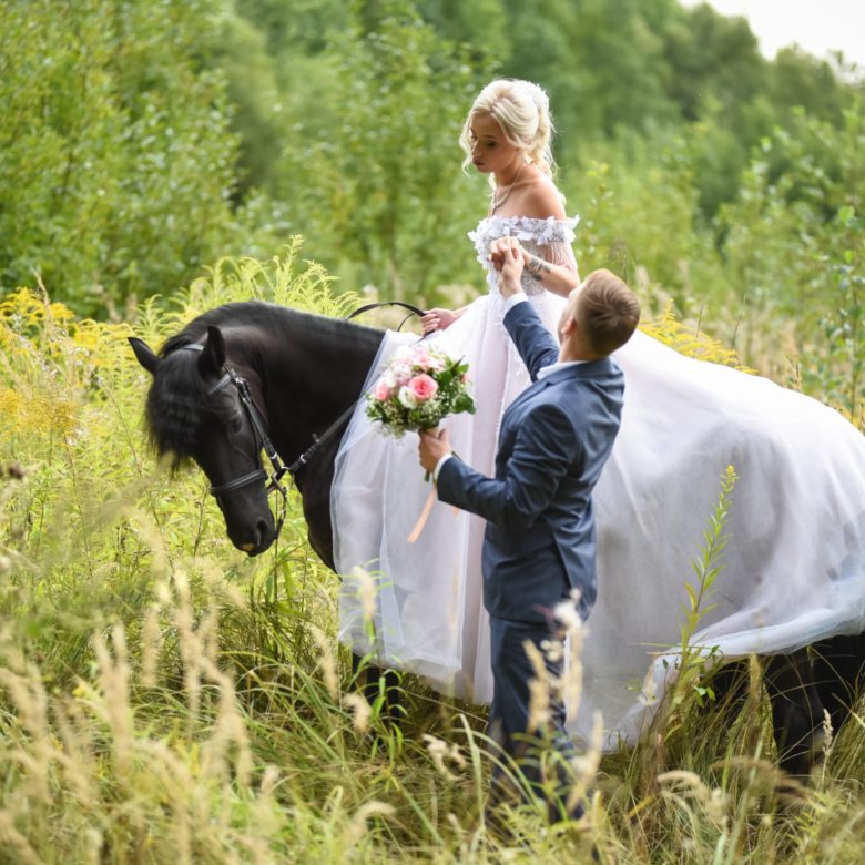 Мужчина лошадь в браке. Лошади брачный. Бордуновы регистрация брака на лошадях в Обояни.