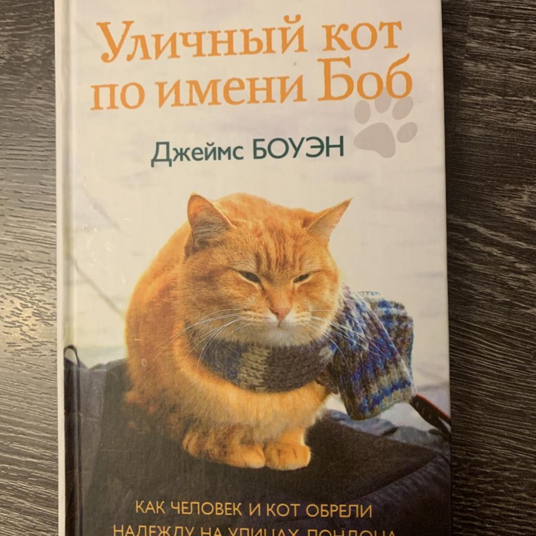 Читать боб. Уличный кот по кличке Боб. Уличный кот по имени Боб книга. Памятник коту Бобу.