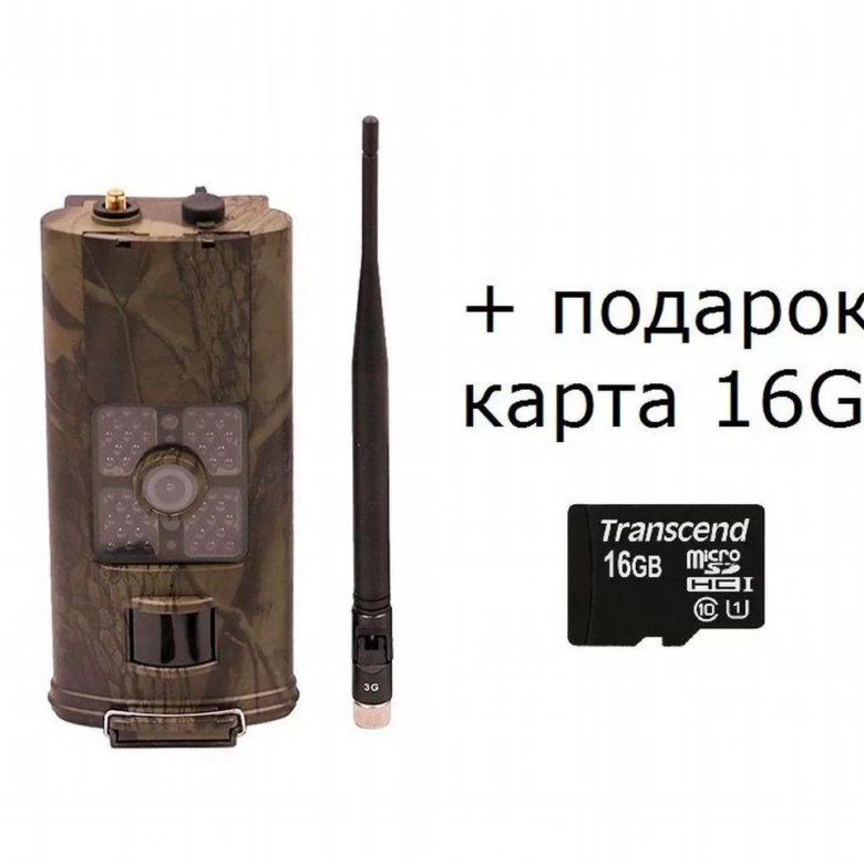 Купить Фотоловушку Для Охоты Бу На Авито