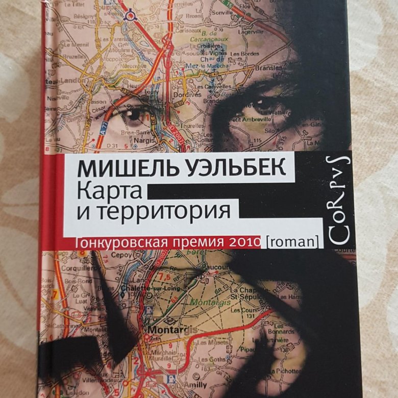 Мишель уэльбек карта и территория читать онлайн бесплатно полную версию