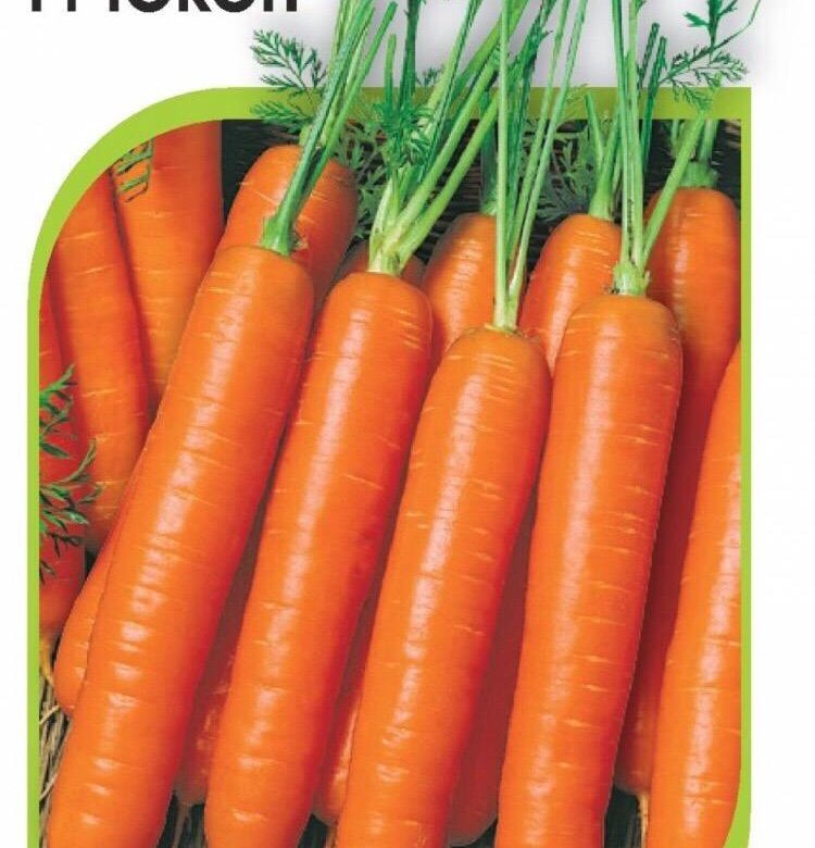 Морковь про 2024 года. Морковь Юкон f1 описание. Морковь Королева Шантане. Сорт моркови Каротель.