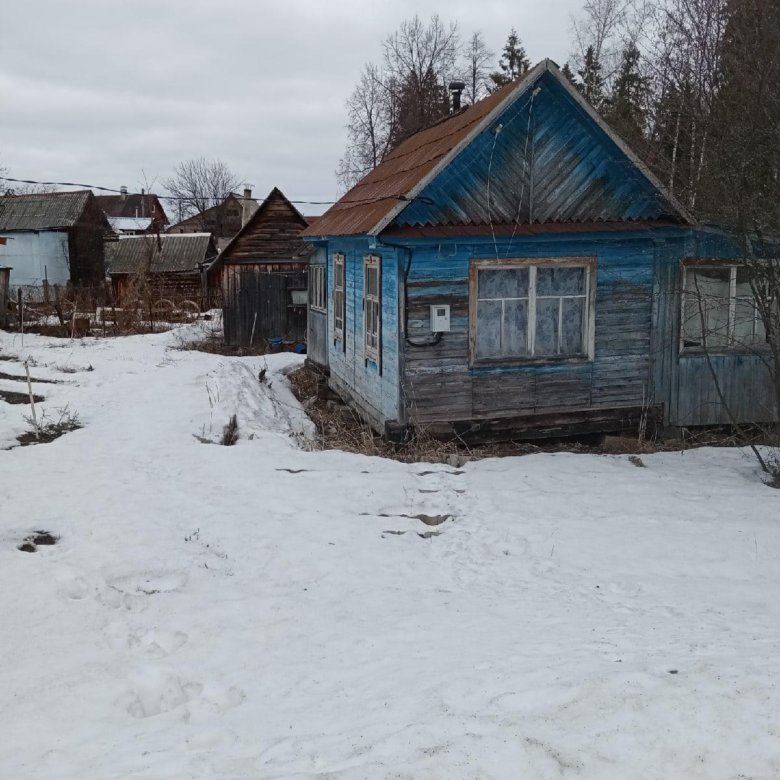 Сдам огород в аренду. Сдам огород в аренду. Сельские огороды. Сдам огород в аренду. Сдам огород в аренду.
