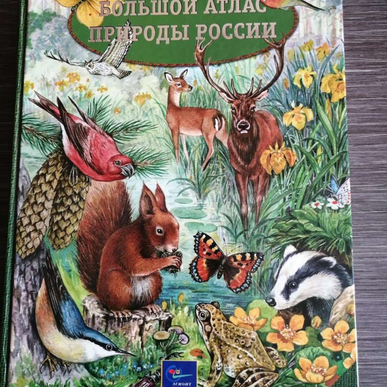 Акция атлас природы пост. Акция атлас природы пост