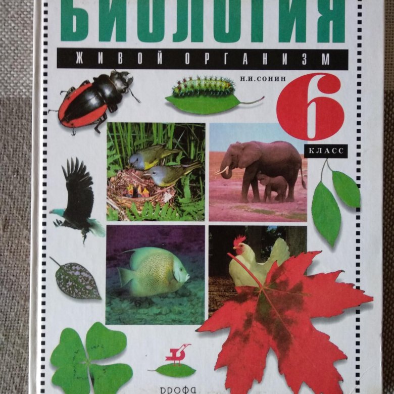 Биология сонин 11. Биология. 6 Класс. Учебник. Биология 6 класс учебник фото.