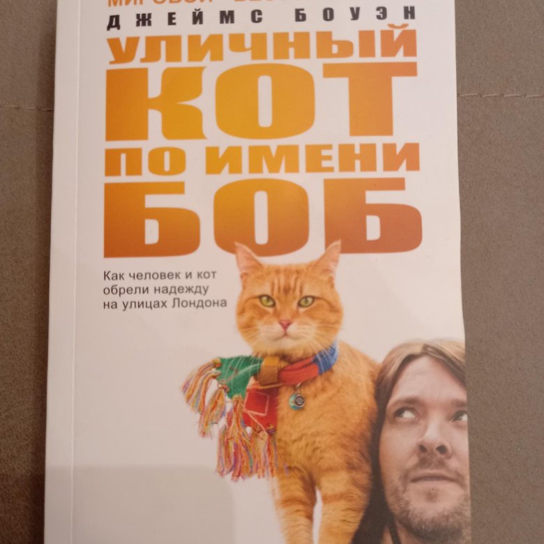 Кот боб книга