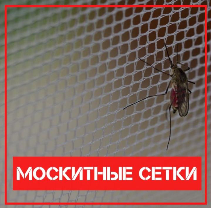 Москитные сетки на окна. Антикошка – купить в Москве, цена 500 руб ...