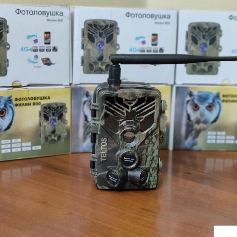 Ммс красноярск. Фотоловушка «Филин 800».
