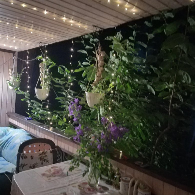 Дача, 50 м² – купить в Красноярске, цена 3 000 руб., дата размещения ...