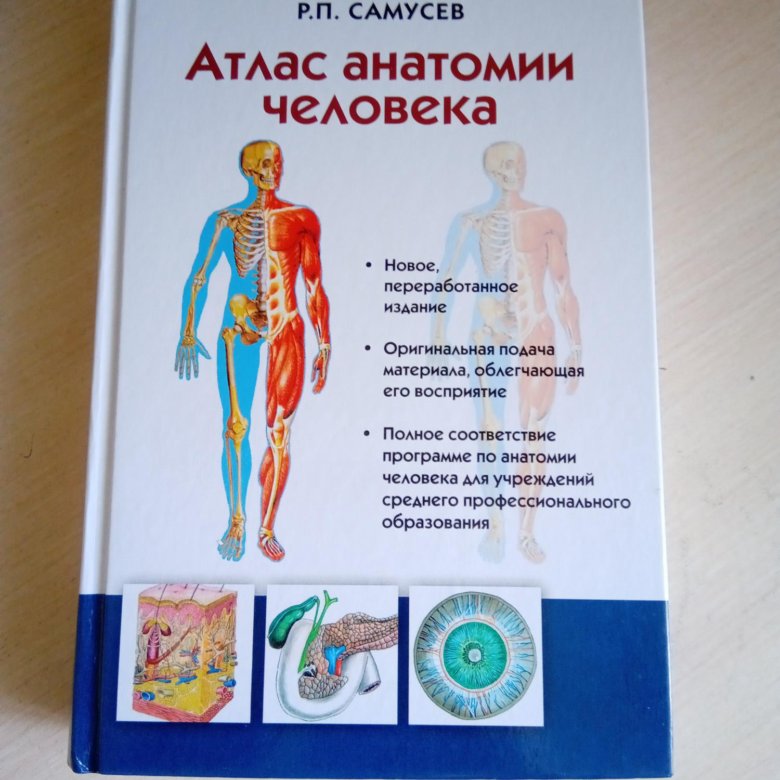 Анатомия липченко самусев. Самусев анатомия. Большой атлас анатомии человека Самусев. Атлас анатомии человека Самусев Липченко. Атлас анатомия и физиология человека.