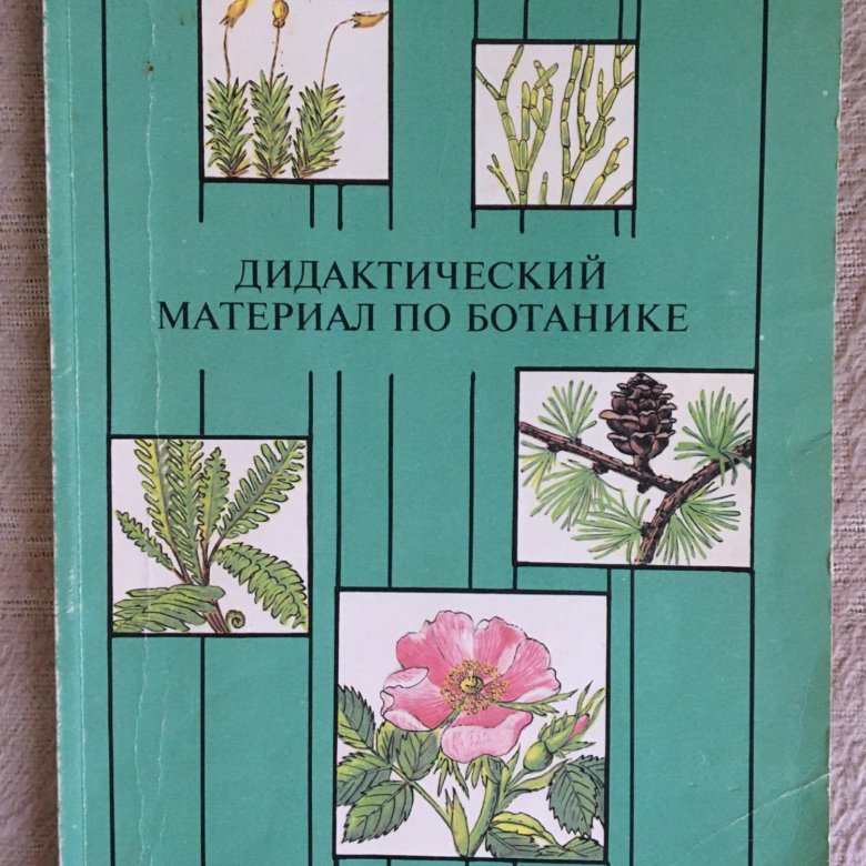 Практические работы по ботанике. Учебник по ботанике для вузов. Ботаника учебник. Практические работы по ботанике. Практические работы по ботанике 6 класс.