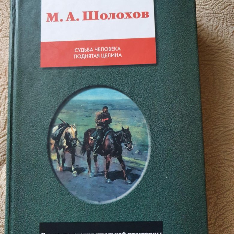 Шолохов поднятая целина слушать. Прилепин Шолохов ЖЗЛ.