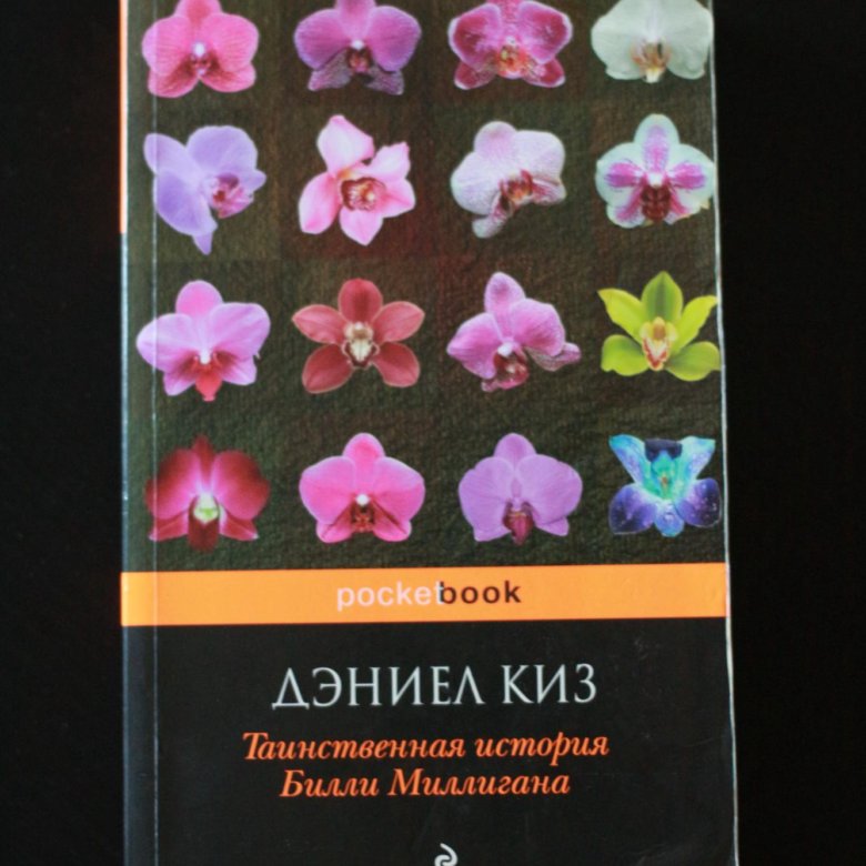 Таинственная история билли миллигана дэниел. Дэниел киз Таинственная история Билли Миллигана. Дэниел киз книги. Таинственная история Билли Миллигана книга. Множественные умы Билли Миллигана Дэниел киз книга.