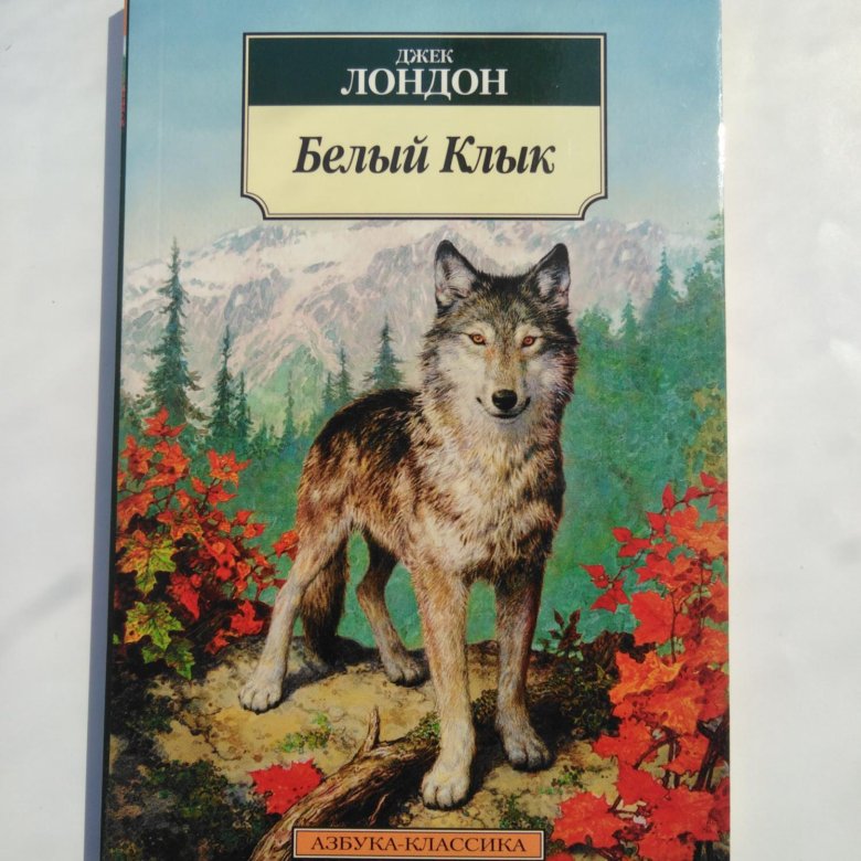 Аудиокнига джека лондона волк. Джек Лондон "белый клык". Картинки белый клык Джек Лондон. Книга белый клык (Лондон Джек). Белый клык обложка книги.