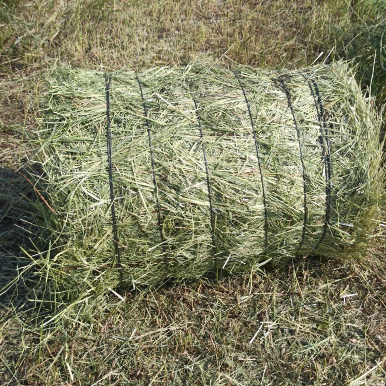 скирда омёт копна. поле с тюками сена. сено 2022. солома в рулонах. сено 2022.