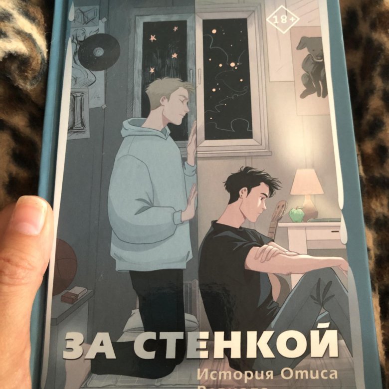 За стенкой книга полностью