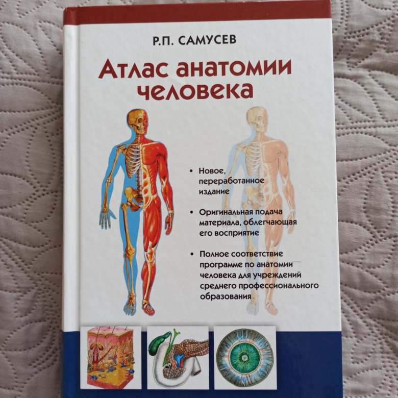 Самусев атлас анатомии. Самусев атлас анатомии человека 9 издание. Человек и сигналы анатомия.