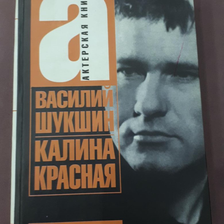 Книга калина красная шукшин