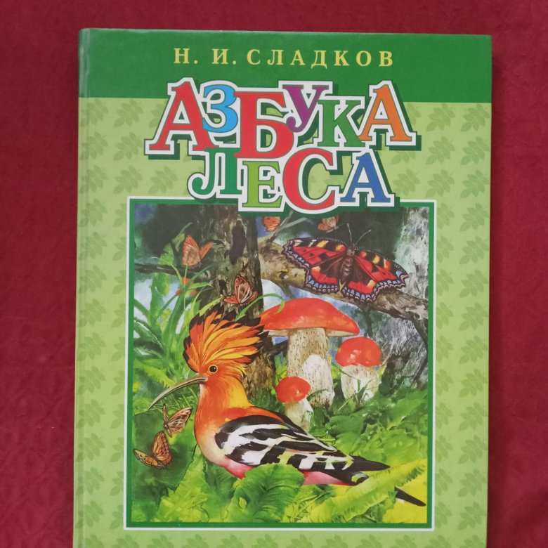 Азбука леса барнаул каталог. Детские книги Азбука леса. Н И Сладков Азбука леса. Книги сказки леса книга а. Обложка Лесная.