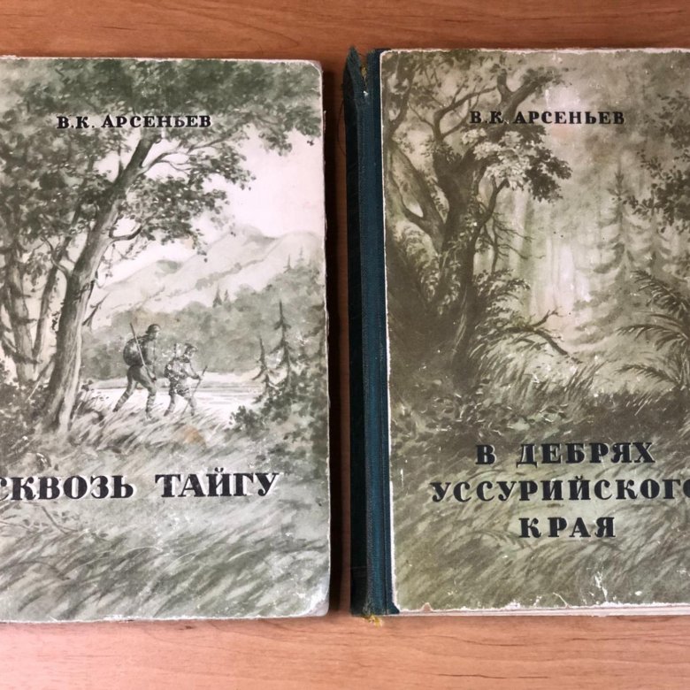 Иванов Дебри Купить Книгу