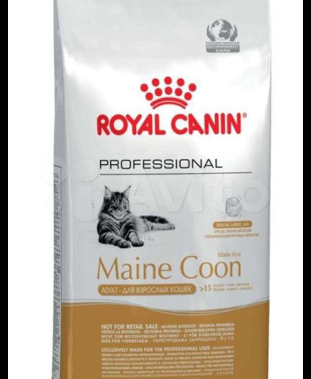 Royal Canin Maine Coon 2 Кг Купить