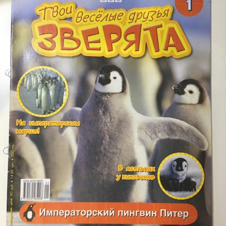 Твоя веселая. Твои весёлые друзья зверята Пингвин Питер. Твои весёлые друзья зверята Императорский Пингвин. Bbc твои весёлые друзья зверята Императорский Пингвин Питер. Детский журнал твои весёлые друзья зверята.