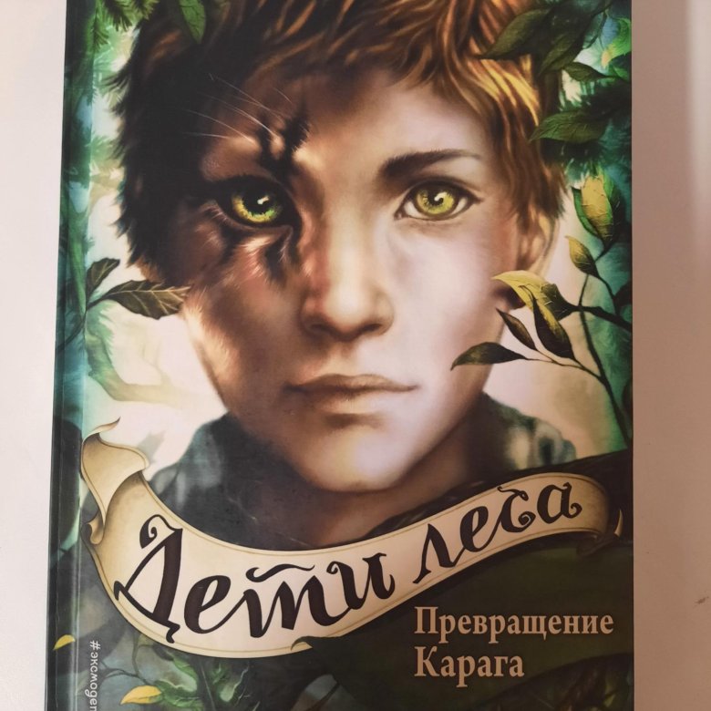 Дети леса книга. Дети леса обложка книги. Книги про лес для детей. Дети леса все книги 2024.