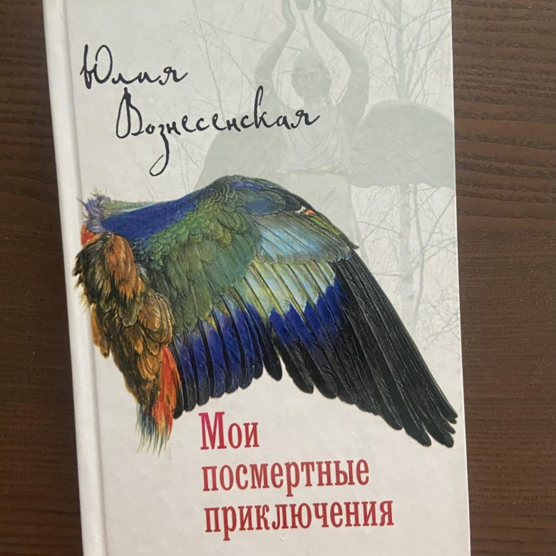 Посмертные приключения вани. Мои посмертные Записки Юлия Вознесенская. Вознесенская ю. н. Мои посмертные приключения. Мои посмертные приключения Юлия. Юлия Вознесенская книги.