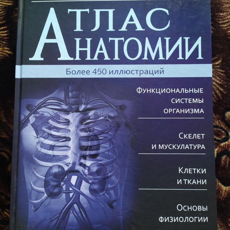 Атлас хирургии и анатомии. Атлас анатомии. Анатомический атлас. Книга атлас анатомия. Медицинский атлас по анатомии.