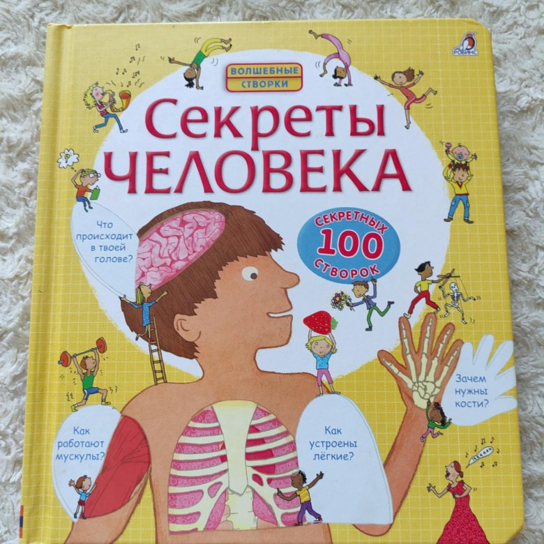 Волшебные створки книги. Волшебные створки секреты человека. Книга секреты человека волшебные створки. Секреты человека книга с окошками купить. Волшебные створки секреты профессий.